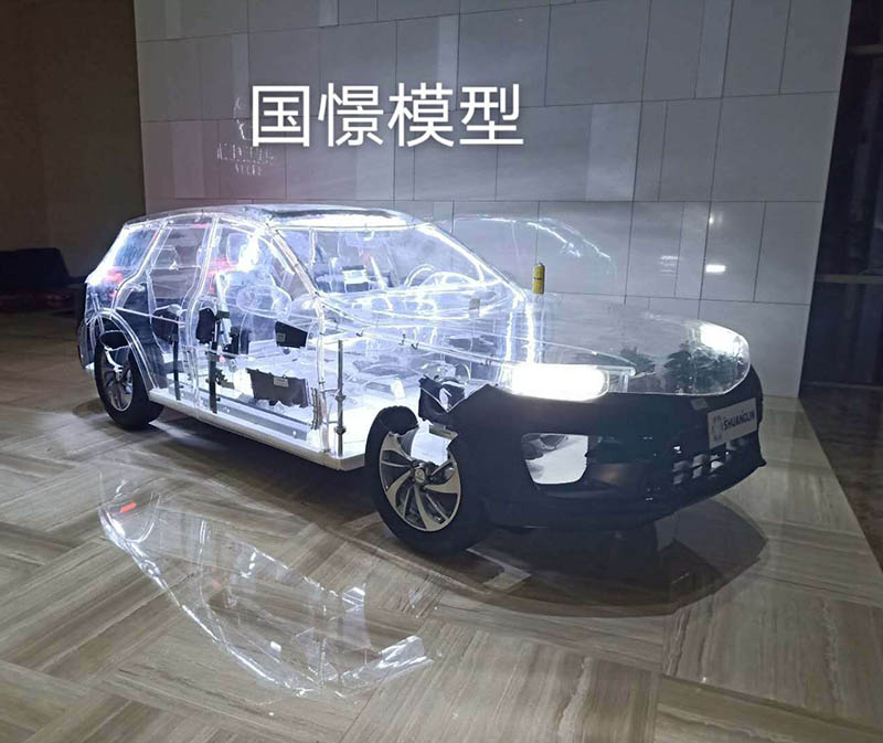 博白县透明车模型